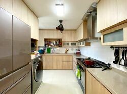 Blk 333 Kampong Ubi View (Geylang), HDB Executive #466294931